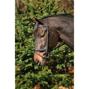 HDR DRESSAGE BRIDLE WITH CRANK, FLASH AND WEB REINS - TackN'Bark