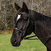 HDR PRO MONO CROWN RAISED FIGURE 8 BRIDLE WITH RUBBER GRIP REINS - TackN'Bark