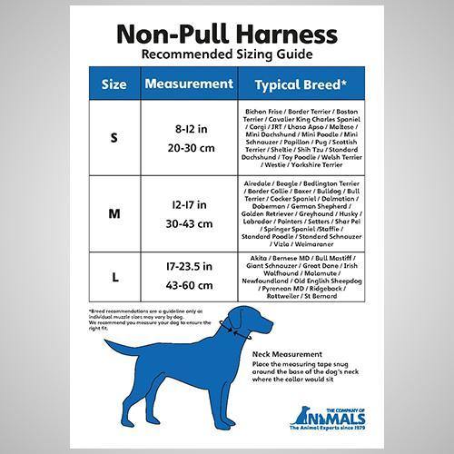 COMPANY OF ANIMALS HALTI NON PULL HARNESS - TackN'Bark